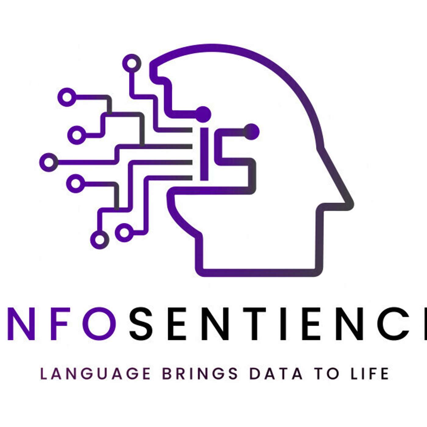 #161 Natural Language Data Analytics