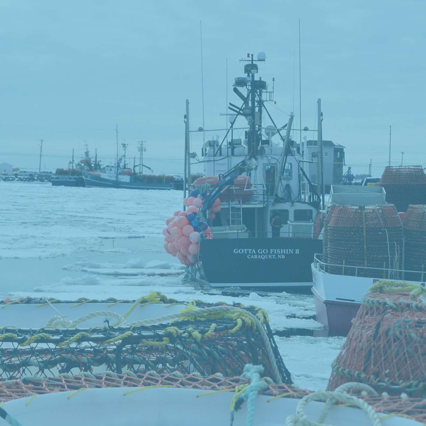 Vignette de l’épisode Pêcheurs en action - Pêcheurs et ingénieurs