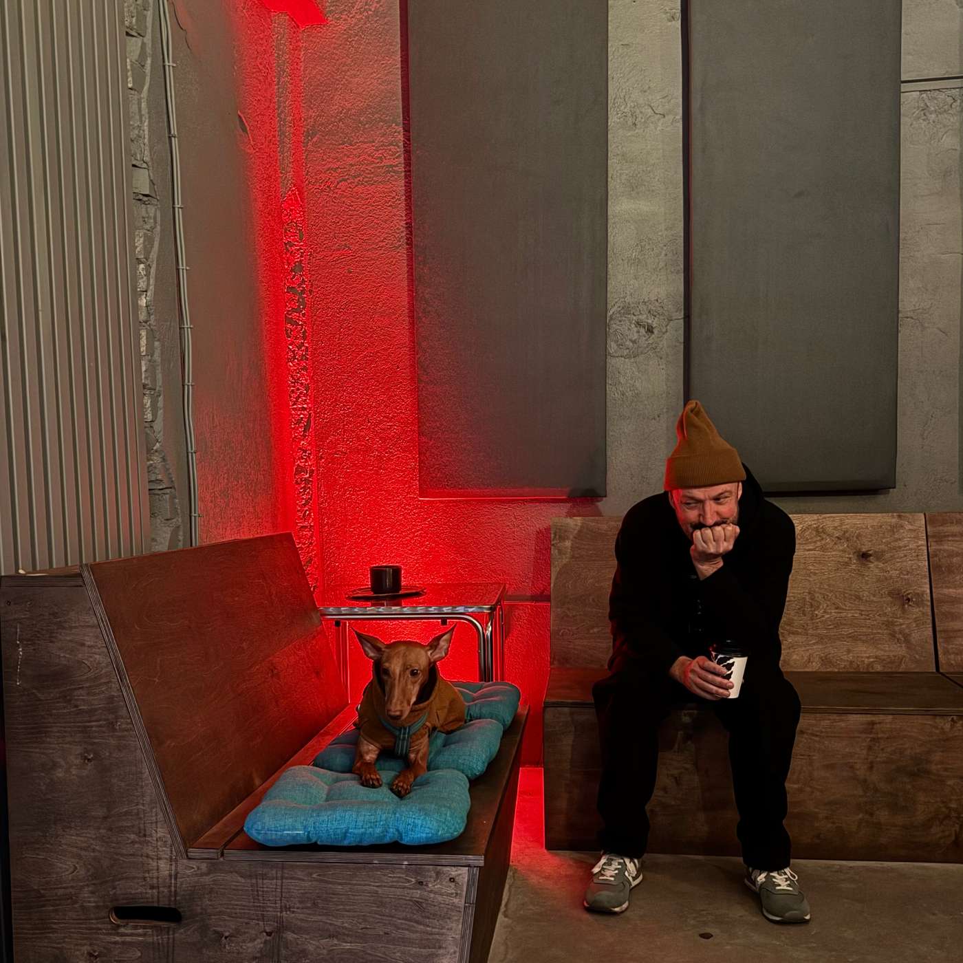 Hommik Rauliga 03.03.26