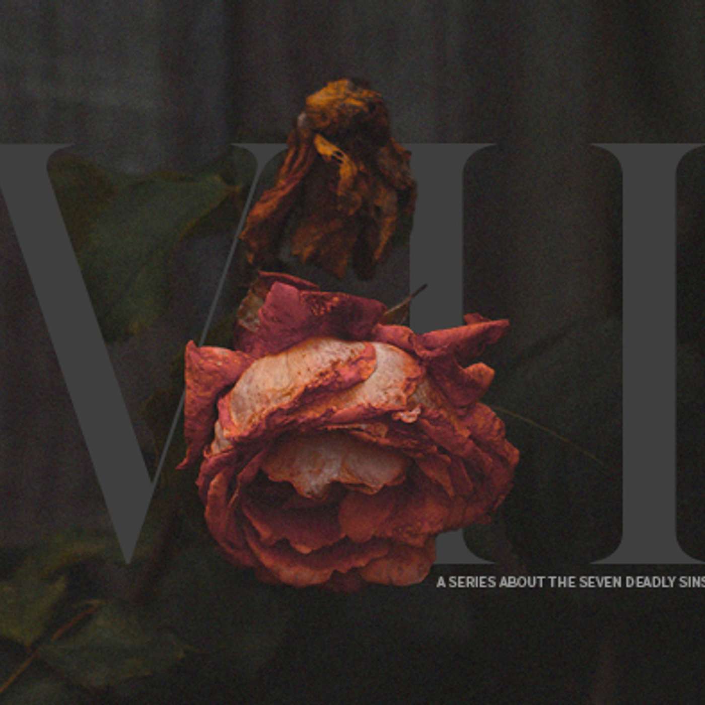 The Seven - Week Seven