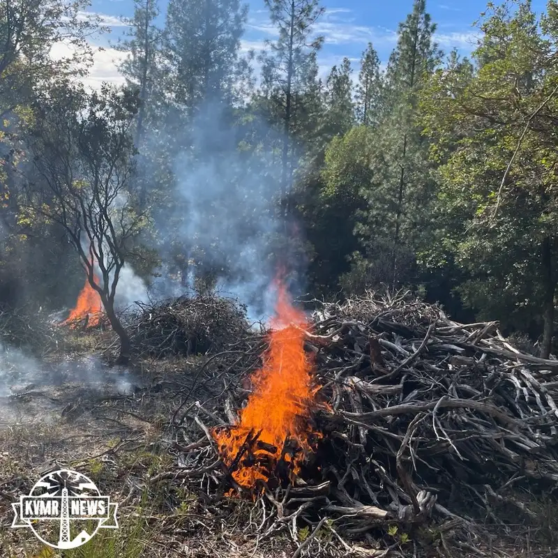 Kevin Kiley Declares Himself Independent / BLM Burning In The 'Inimim Forest