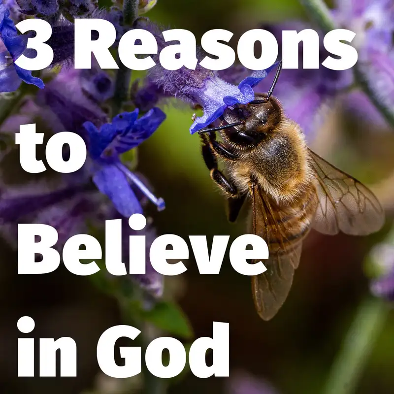 Episode 148: Three Reasons to Believe in God