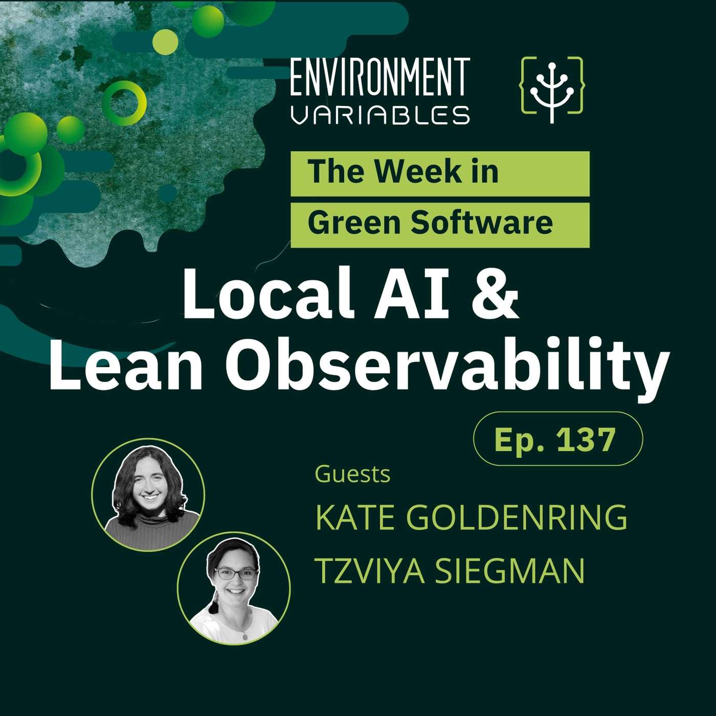 Artwork for Environment Variables