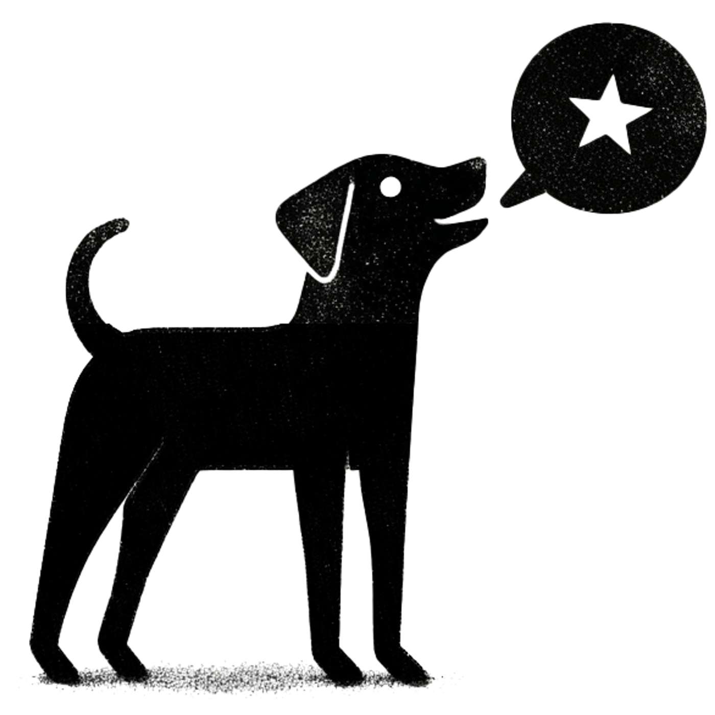 End Of Life Veterinarians