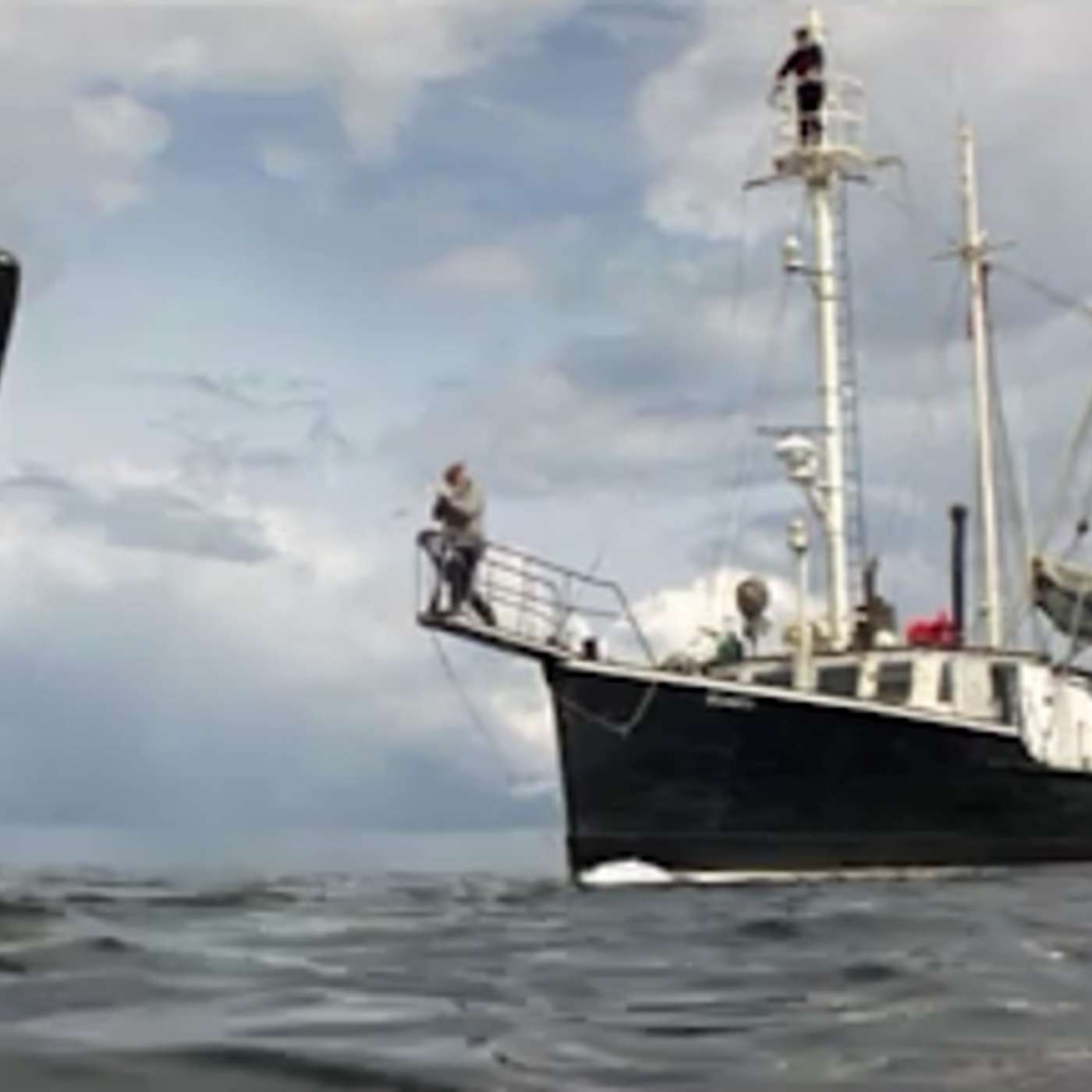 S16: Episode 5: Orca