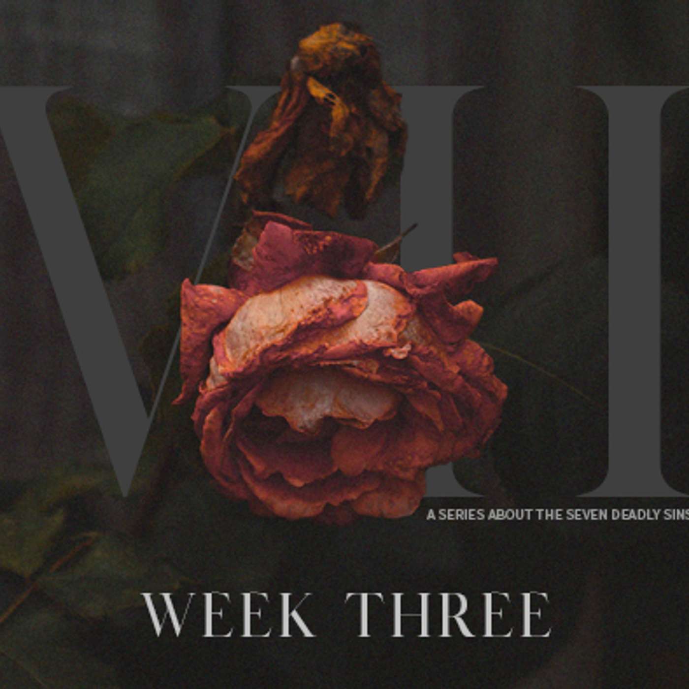 The Seven - Week Three