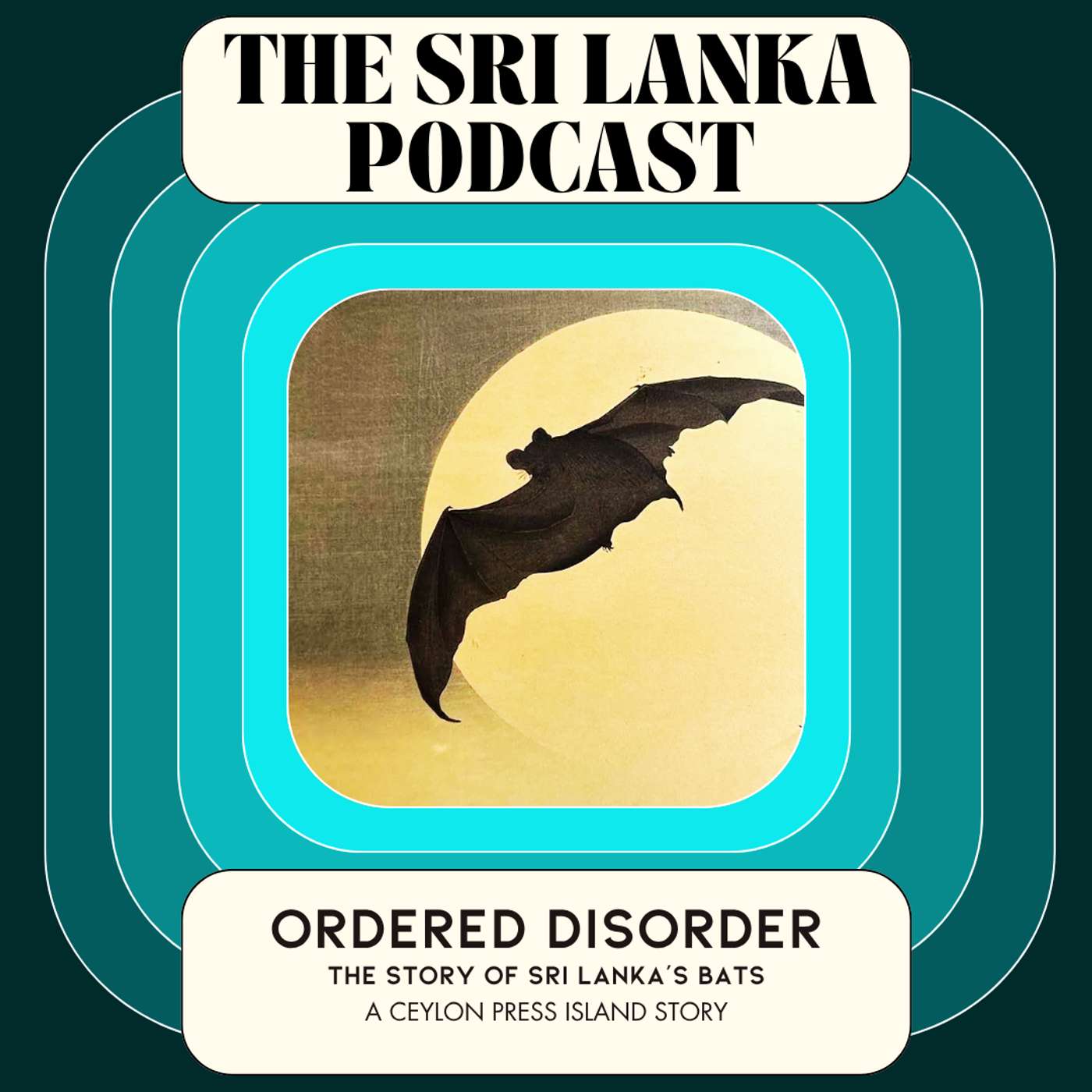 Ordered Disorder: The Story of Sri Lanka’s Bats. A Ceylon Press Island Story episode artwork