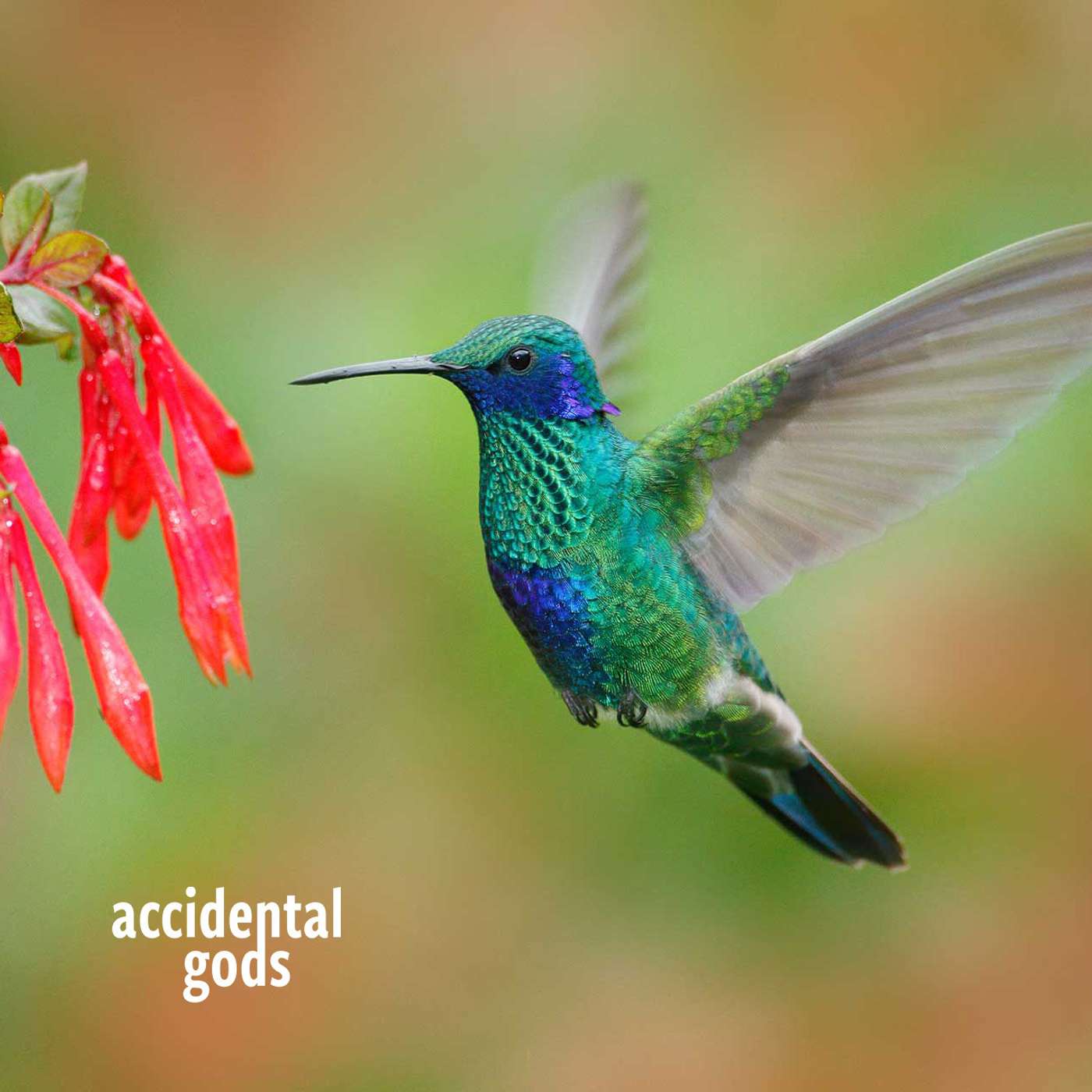 Flourish: Designing new paradigms and expanding our agency with Sarah Ichioka