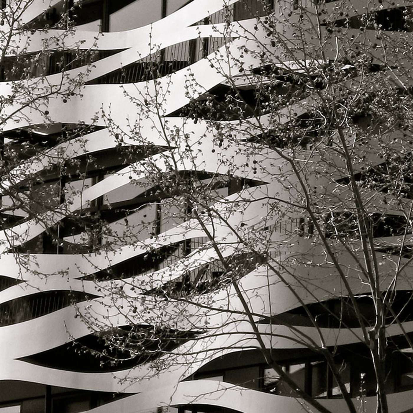 Inside the Psychotherapy Networker Symposium: Trauma, Nervous Systems, and Real Healing