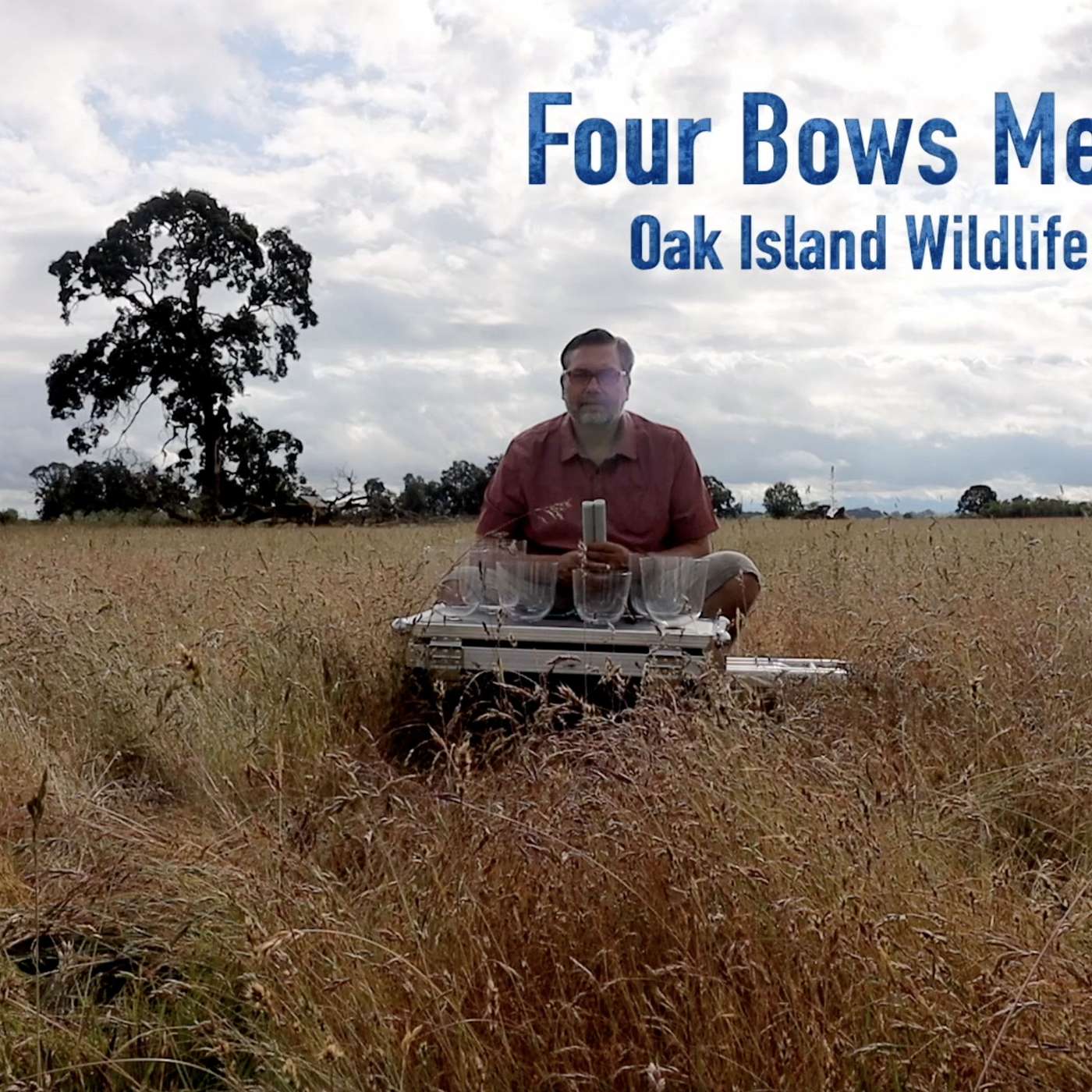 Variant Four Bows - Subconscious Voice Meditation (5 min intervals), Sauvie Island episode artwork