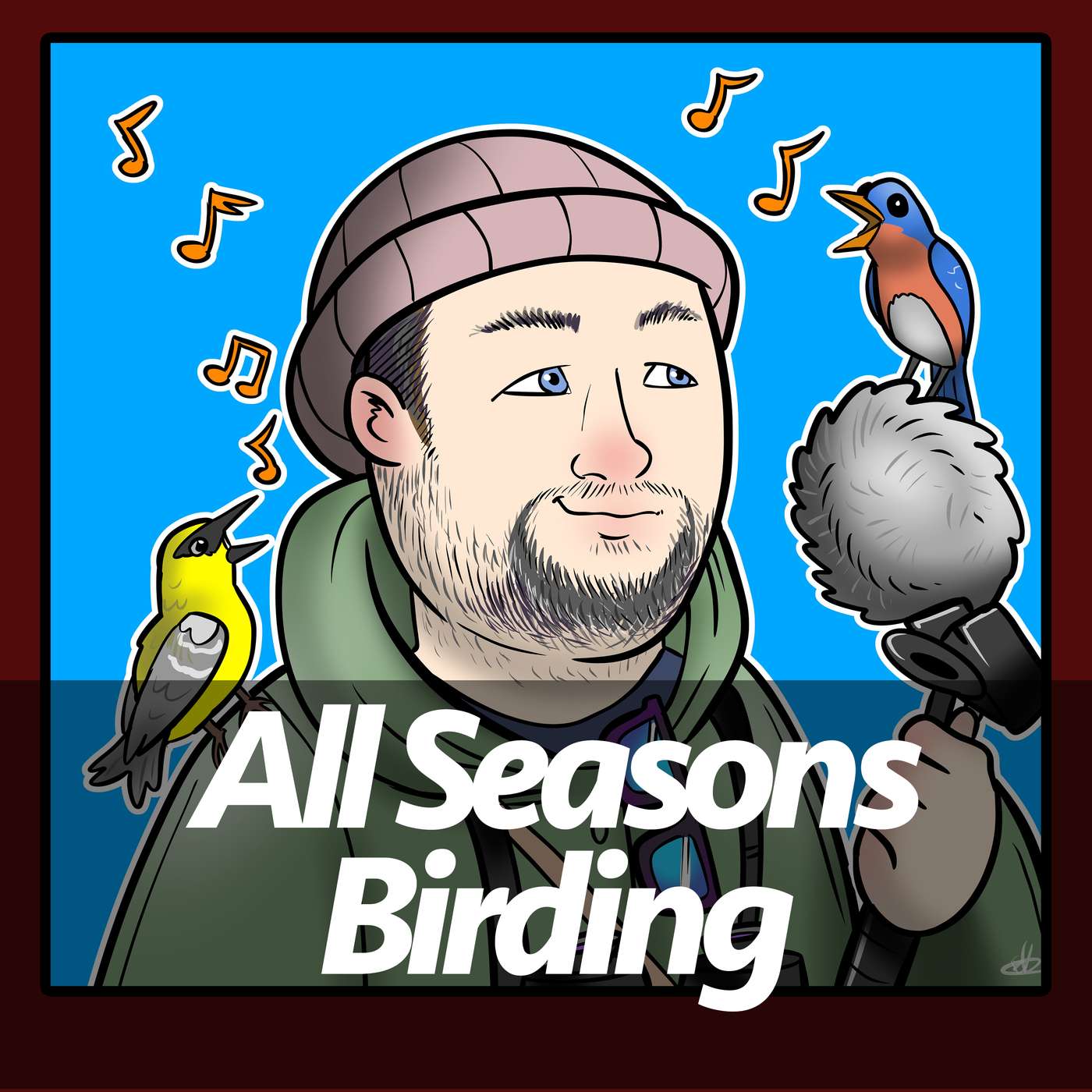 All Seasons Birding