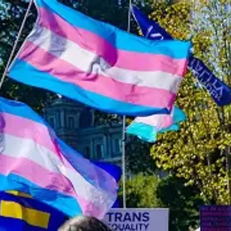 Lizi, Tarush and Naiara talk about UK transgender issues, JOMO and consuming culture today
