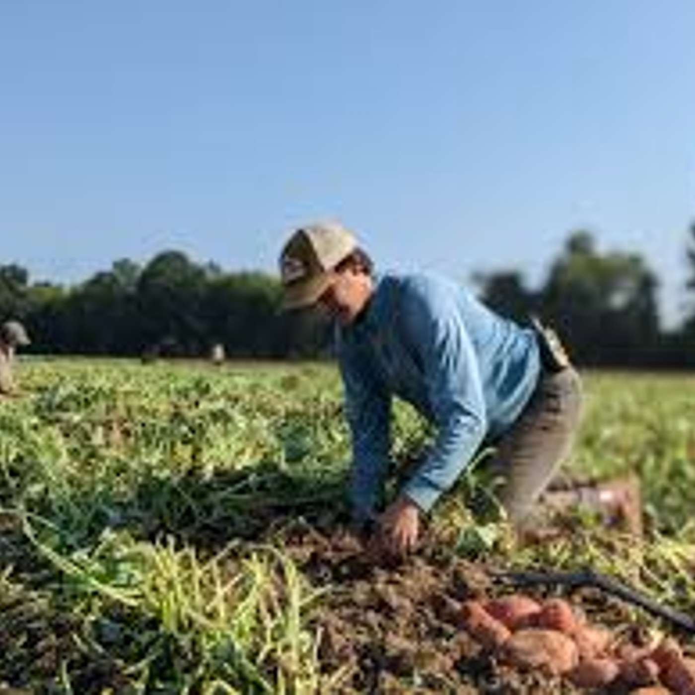 The Organic Farm Stand Show -- July 17, 2025