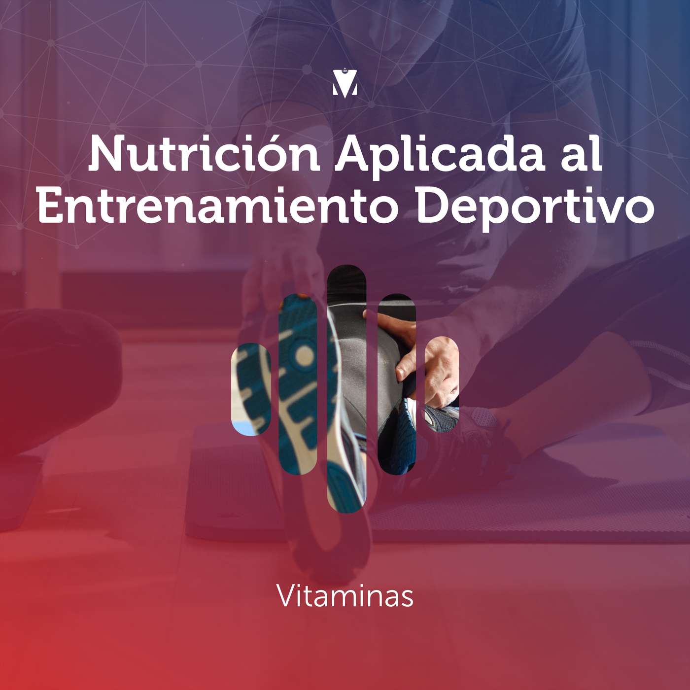 4 - NUTRICIÓN APLICADA AL ENTRENAMIENTO DEPORTIVO: Vitaminas episode artwork