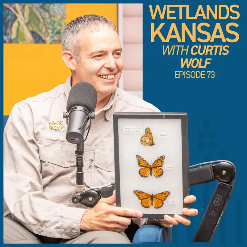 Hidden Gems at Cheyenne Bottoms with Curtis Wolf | Wetlands Kansas