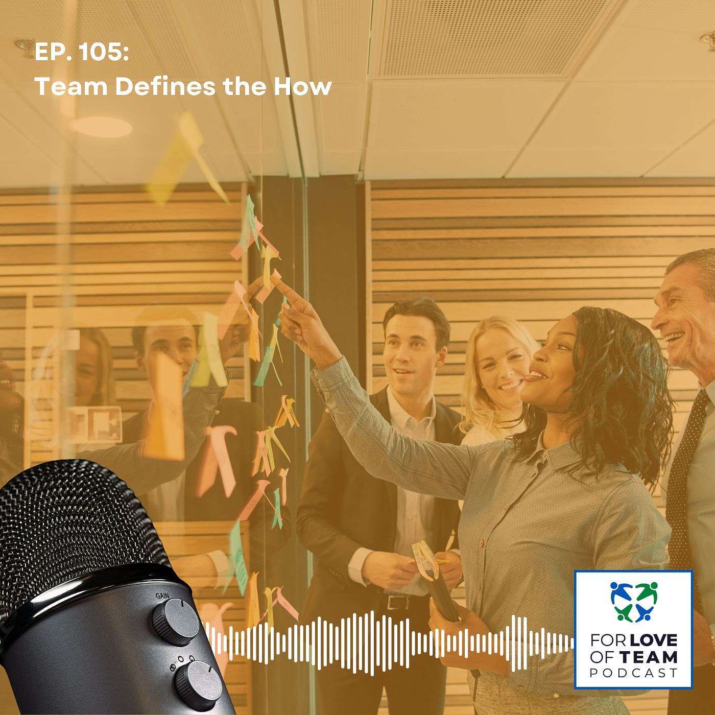 S1 E046: Team Owns the How episode artwork
