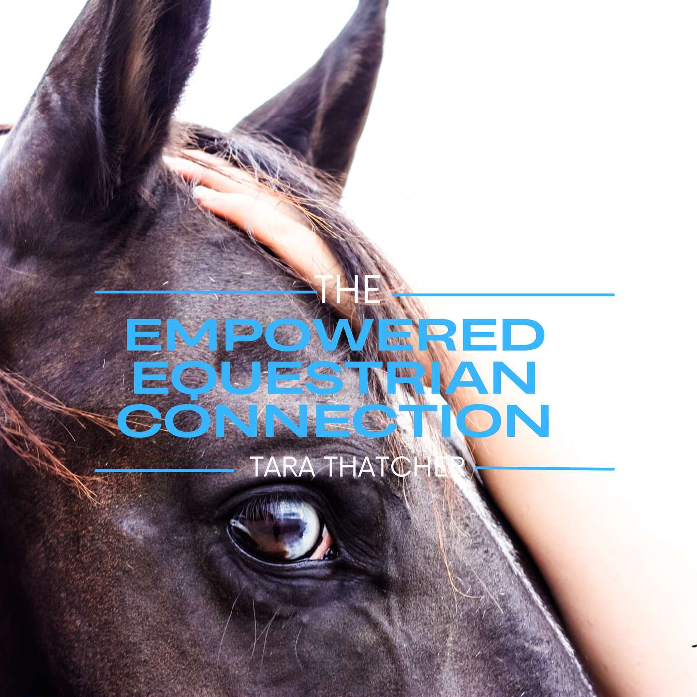 Empowered Equestrian Connection