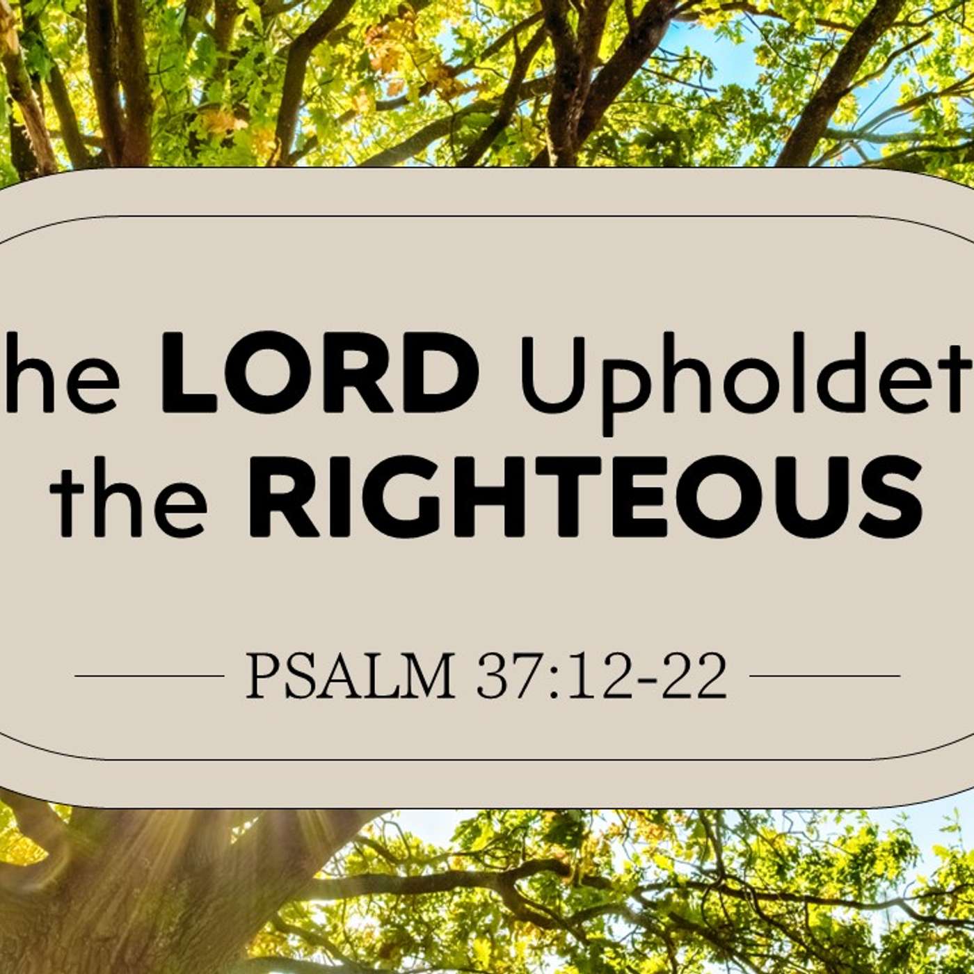 The Lord Upholdeth the Righteous | 02/22/26 Afternoon Service