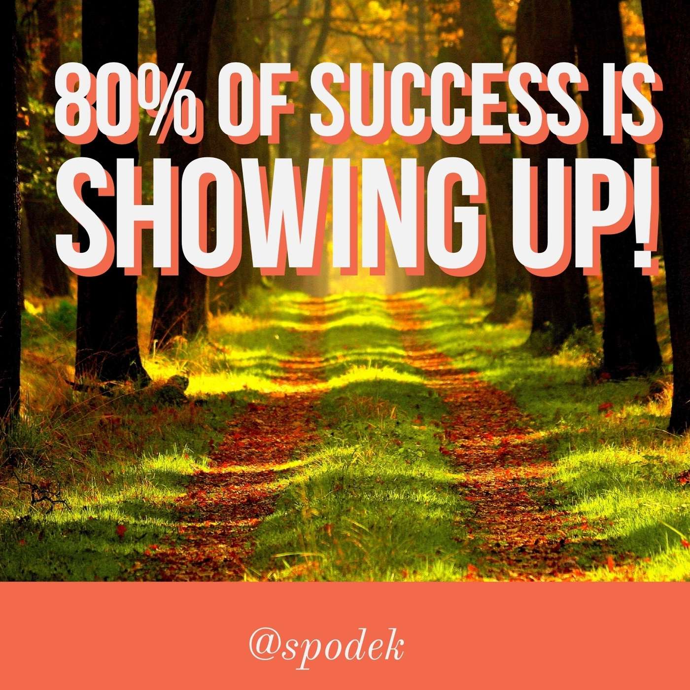 Transformative Principal