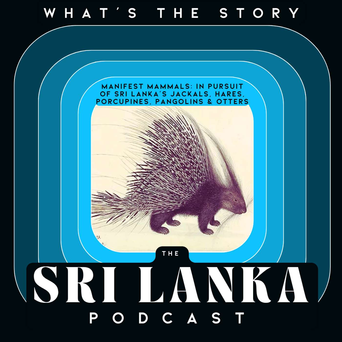 Manifest Mammals: In Pursuit Of Sri Lanka’s Jackals, Hares, Porcupines, Pangolins & Otters episode artwork