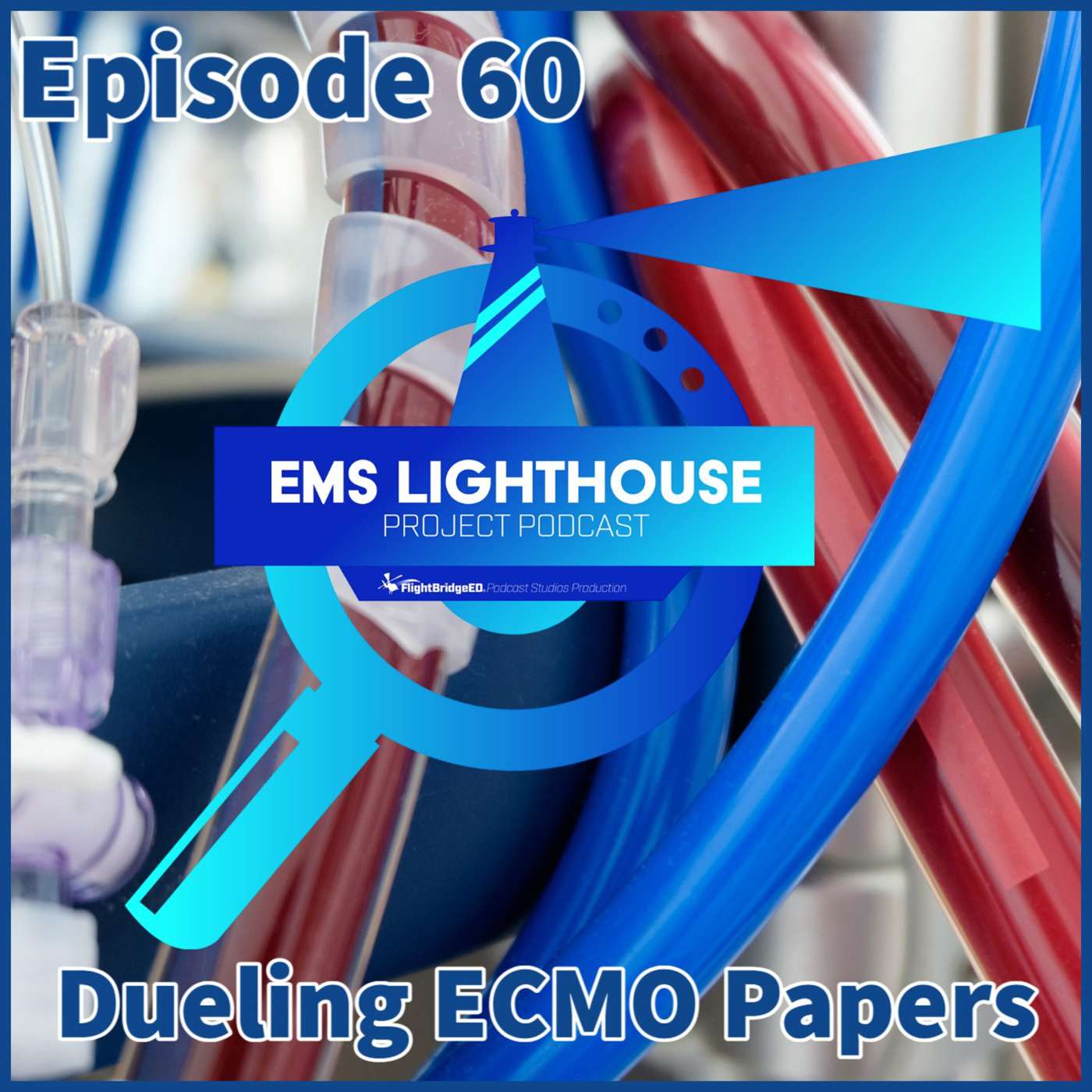 The EMS Lighthouse Project