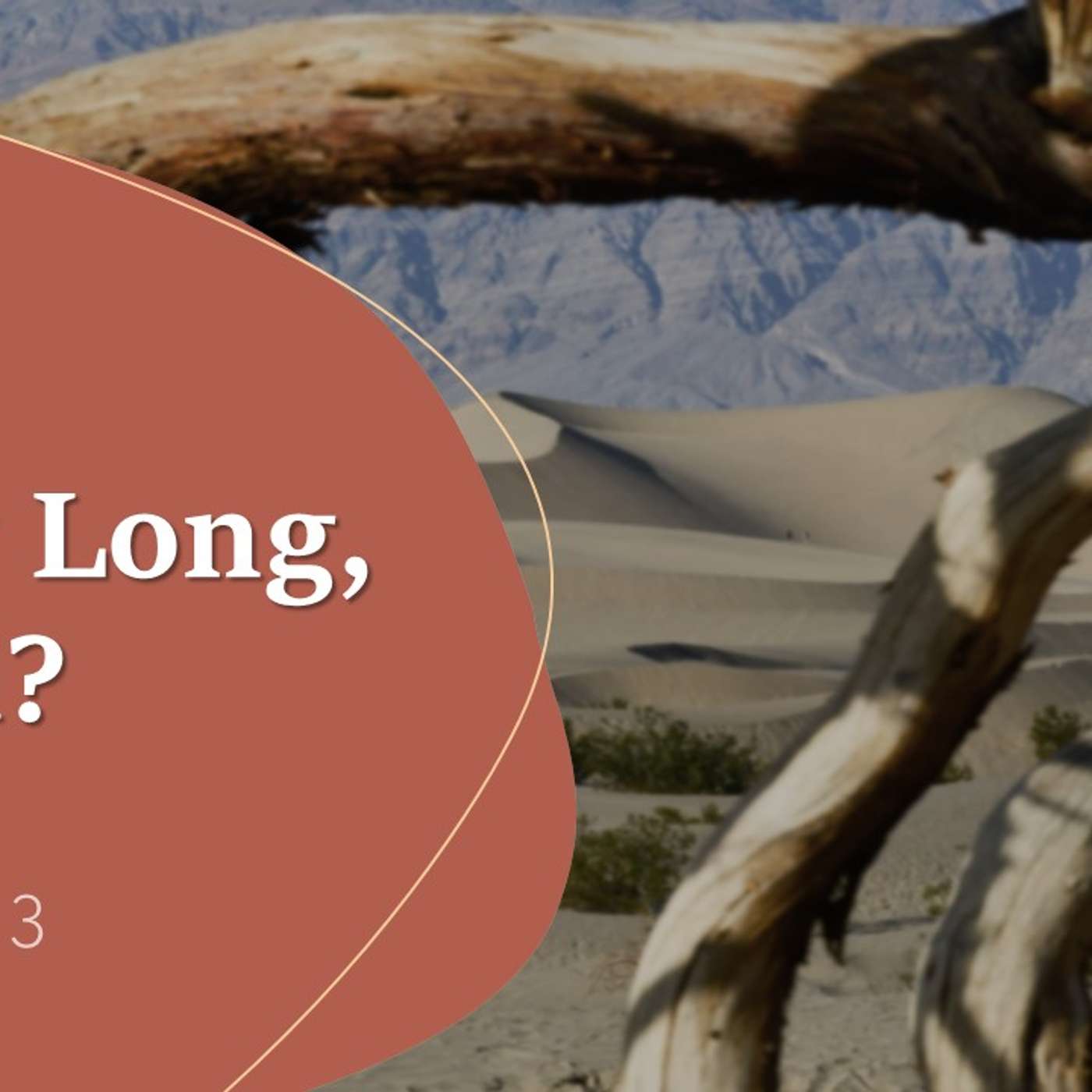 How Long, Lord? | 04/28/2024 Afternoon Service