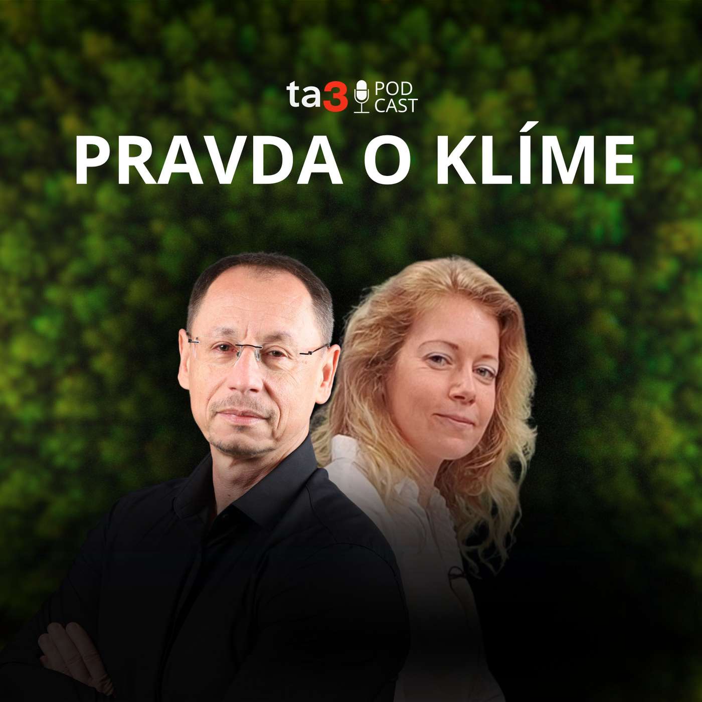 ta3 podcast Pravda o klíme: Tichá hrozba pre včely, ľudí aj celý ekosystém: Môže byť kontakt so sršňom ázijským smrteľný?