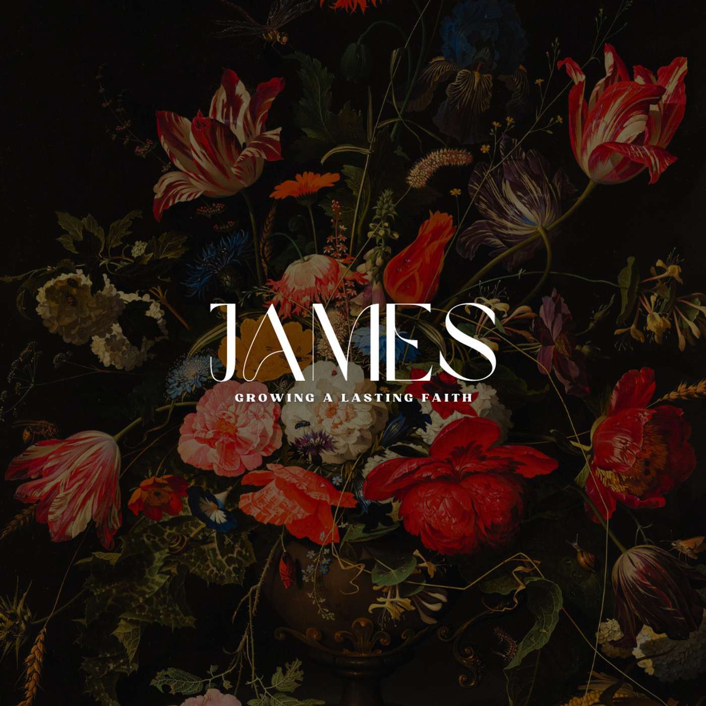 Willow Ridge Sermons