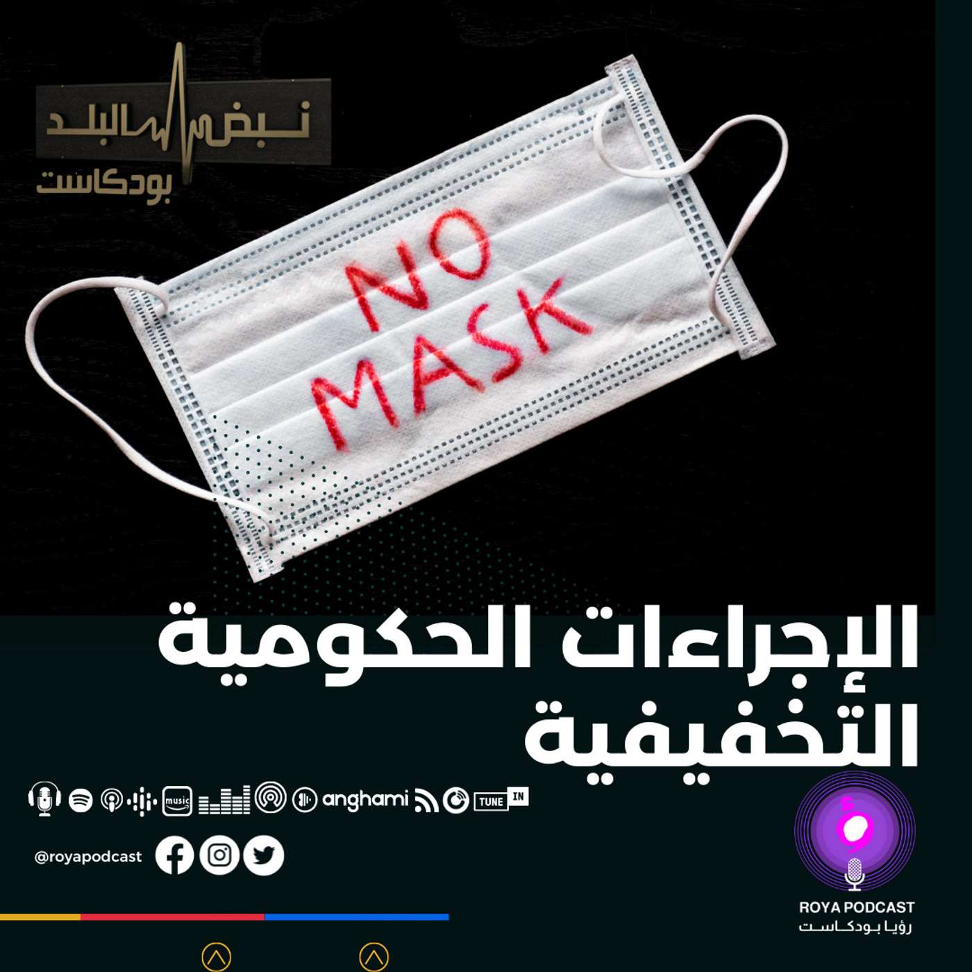 الإجراءات الحكومية التخفيفية