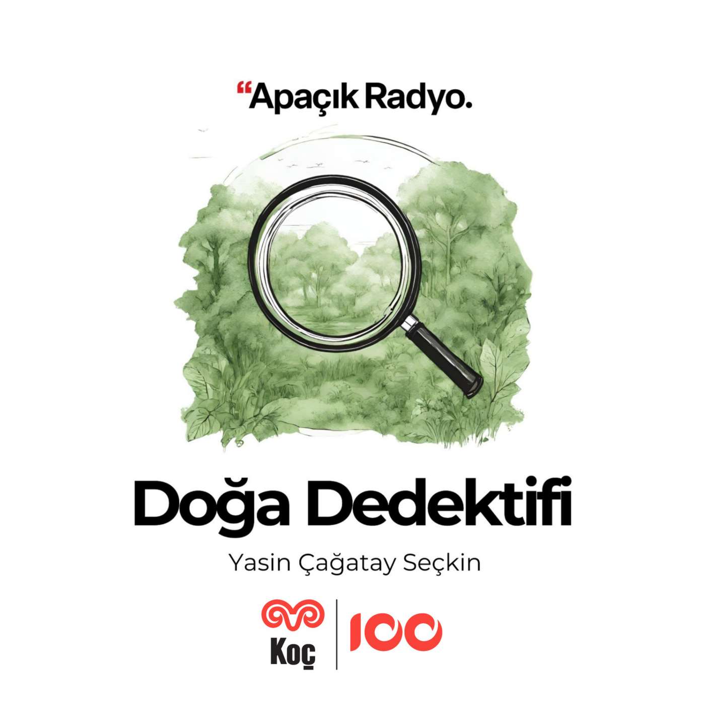 Project Posidonia ve deniz çayırlarının ekosistemdeki rolü