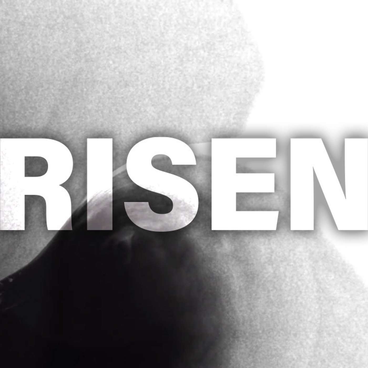 Risen - Todd Blanton episode artwork