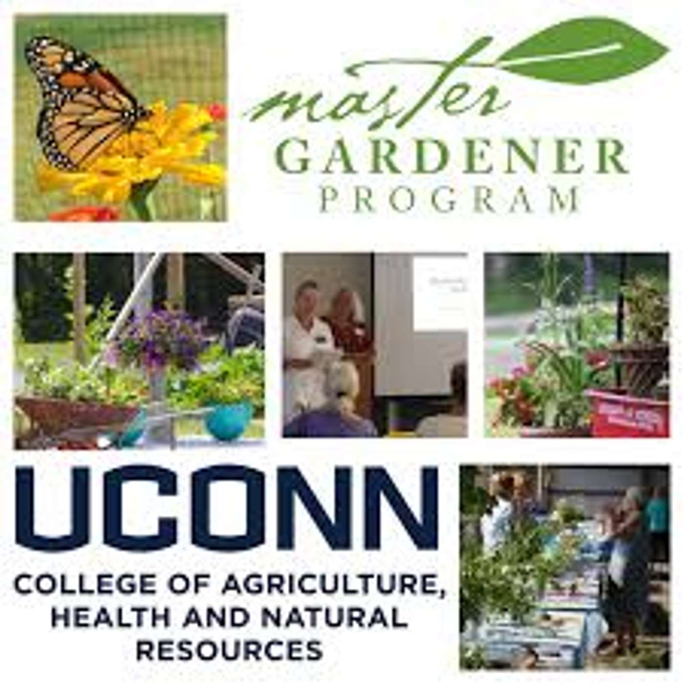 Sandra Wilson CT.  Master Gardener Program