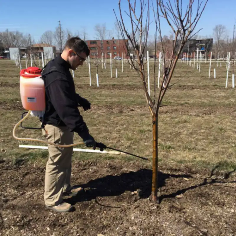 Developing a Fruit Tree Spray Schedule with Mike Biltonen