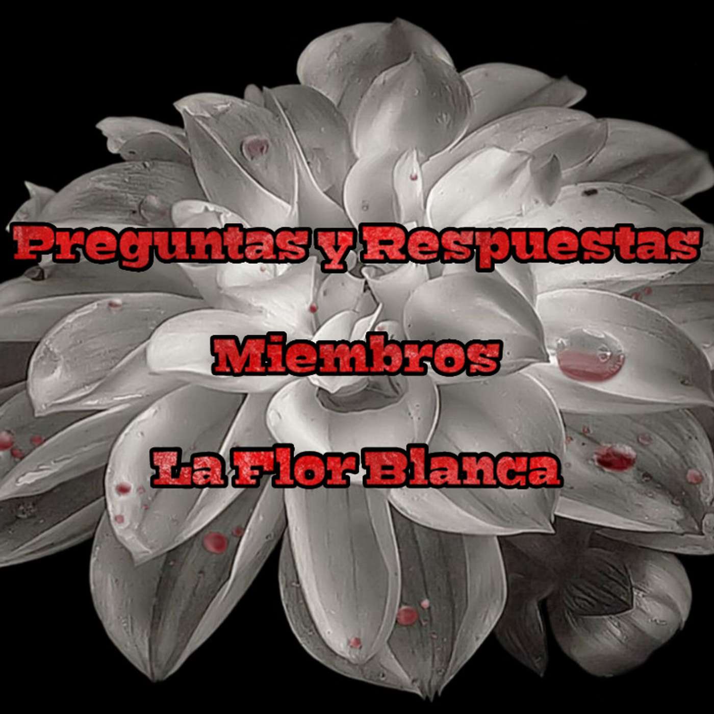 Rincón Íntimo para Miembros: Tercera Temporada