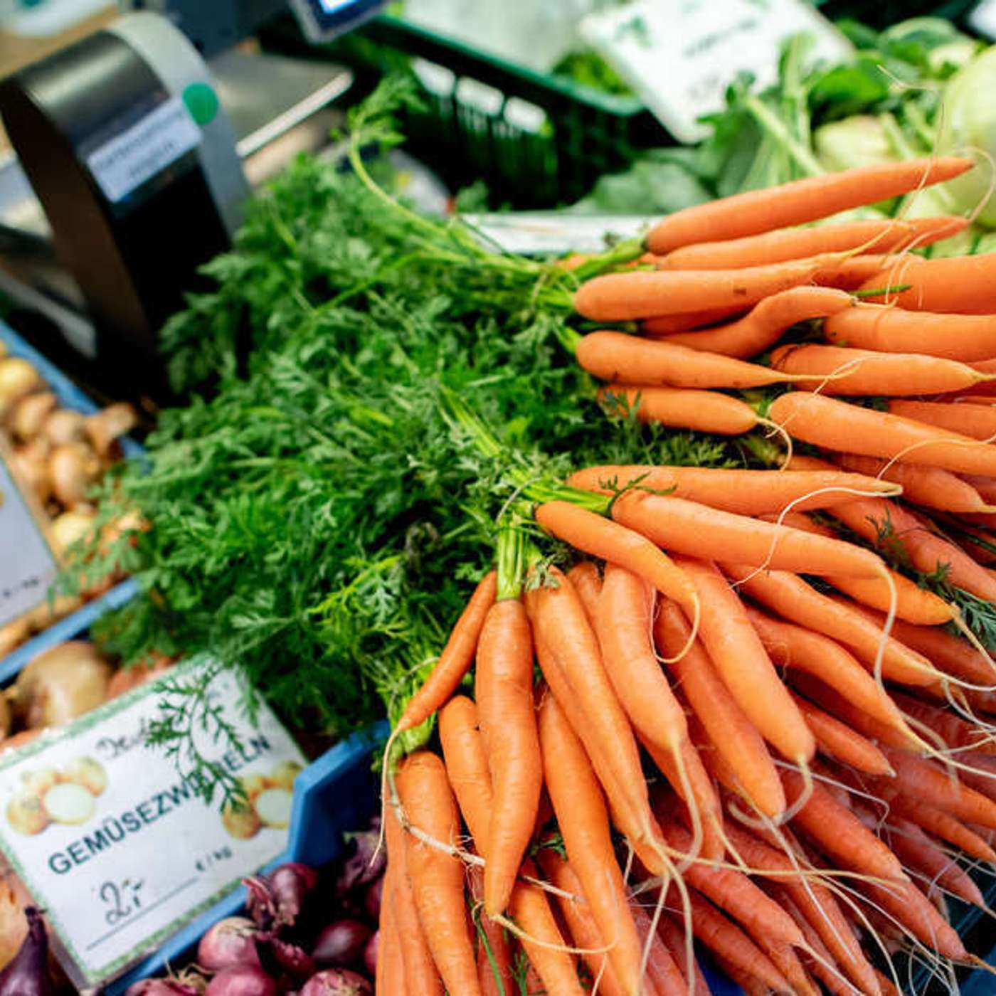 AI challenges in academia, EV's unlock virus secrets, Carrots Slash Cancer Risk, Ancient Stars Erupt Cosmic Dust, and more...