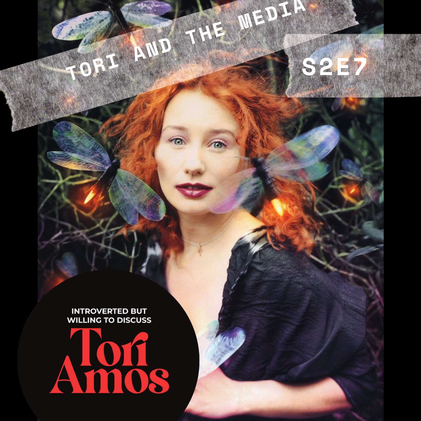Introverted But Willing To Discuss Tori Amos