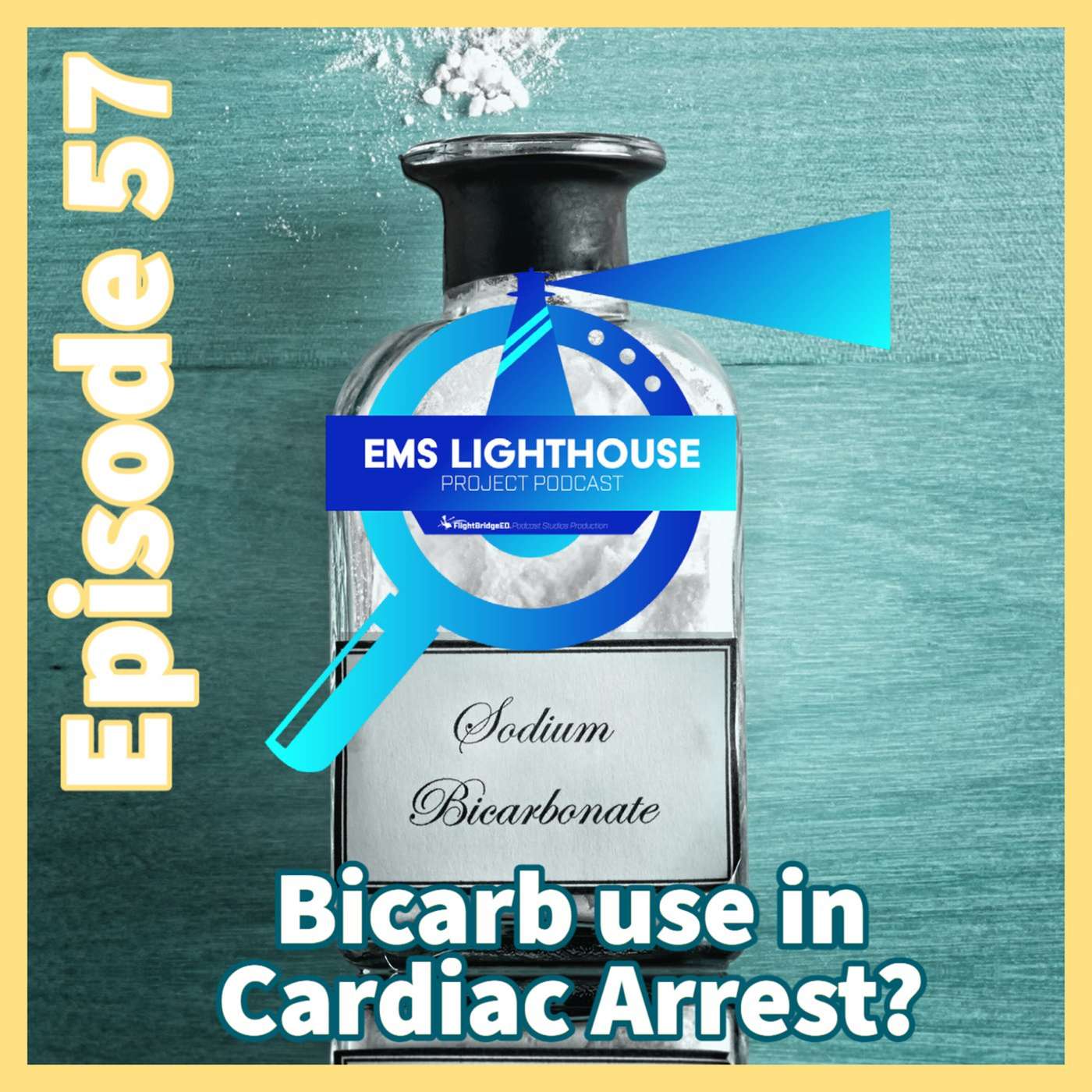 The EMS Lighthouse Project