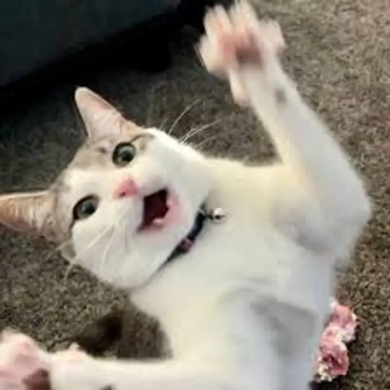 #319: Practice Makes Imperfect