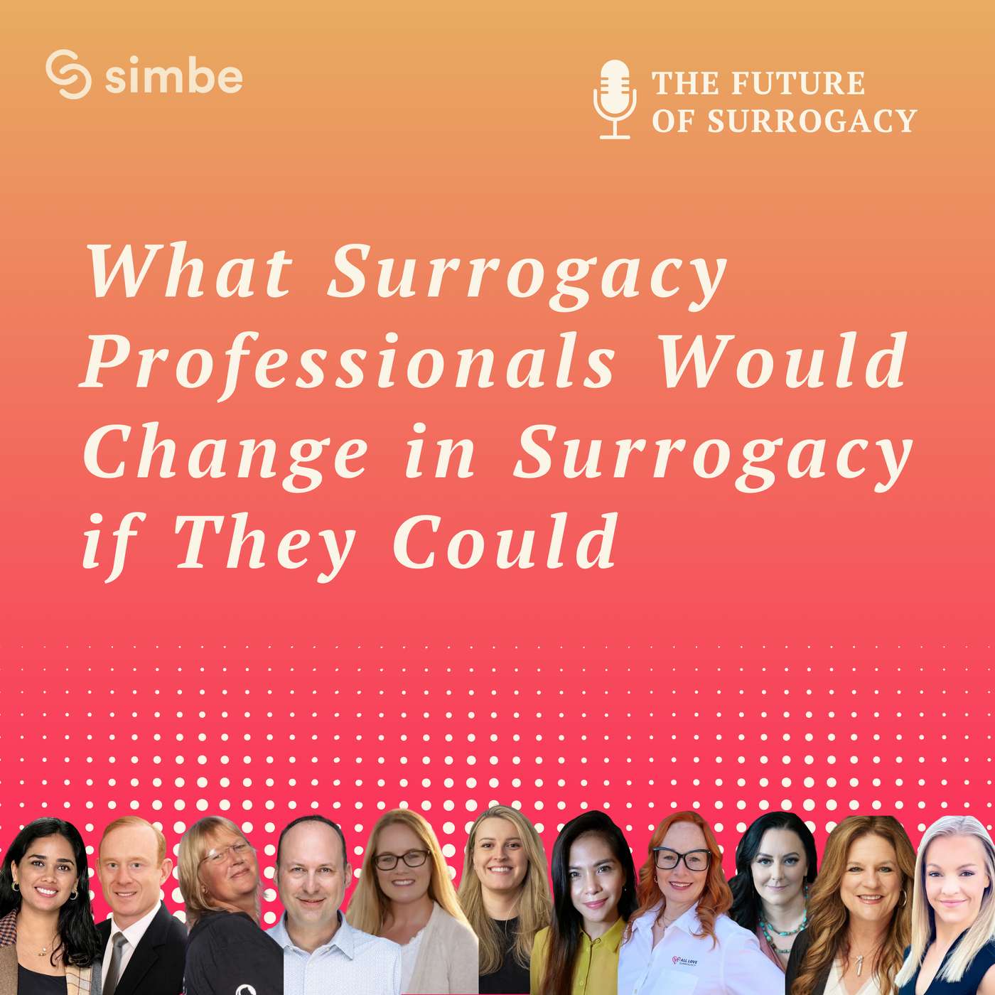 Magic Wand: What Surrogacy Professionals Would Change in Surrogacy if They Could