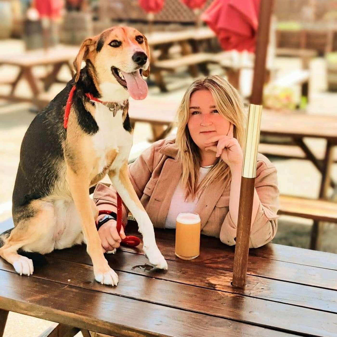 Exploring the Beer Garden State with Brie Devlin