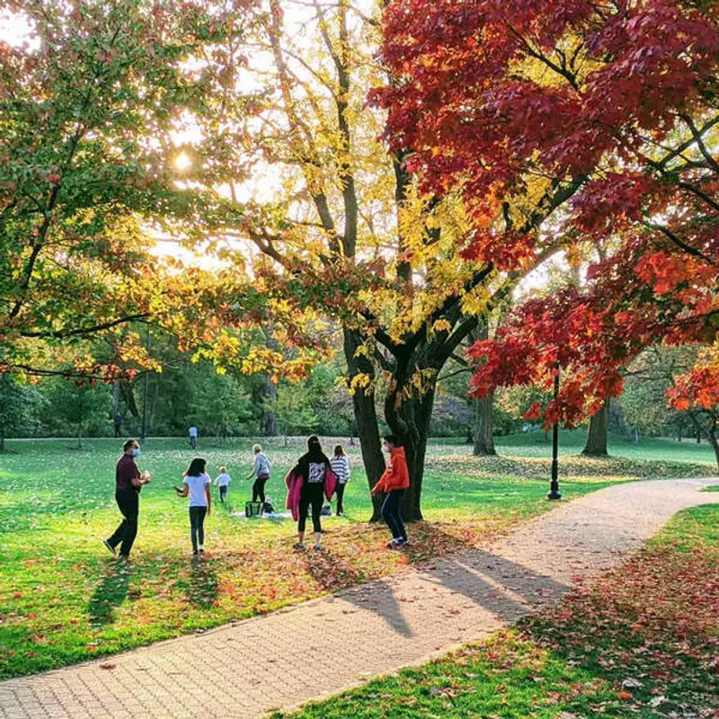 O que as áreas verdes podem fazer pela sua saúde mental e física?