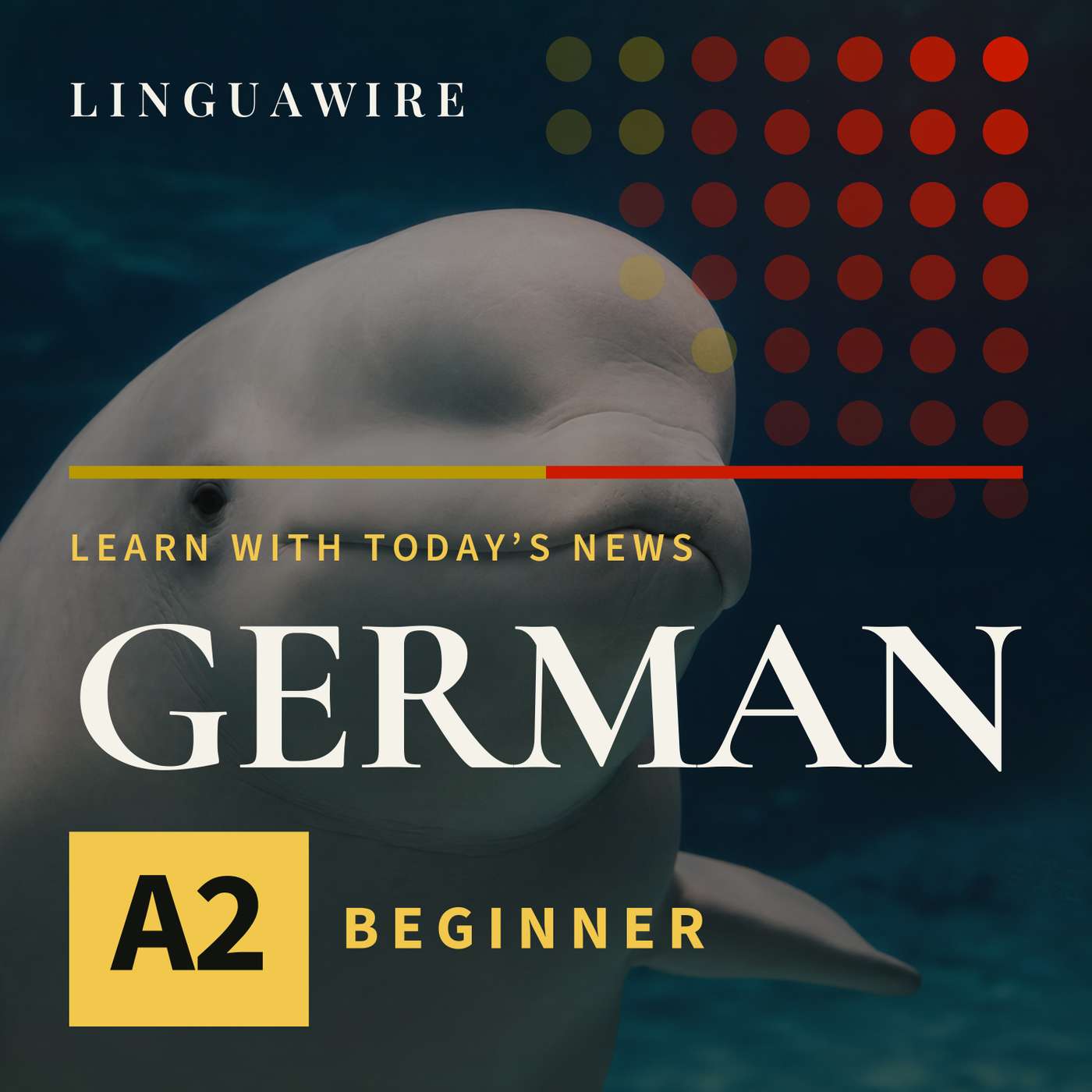 A2 German News | Seven Beluga Whales Arrive in Texas