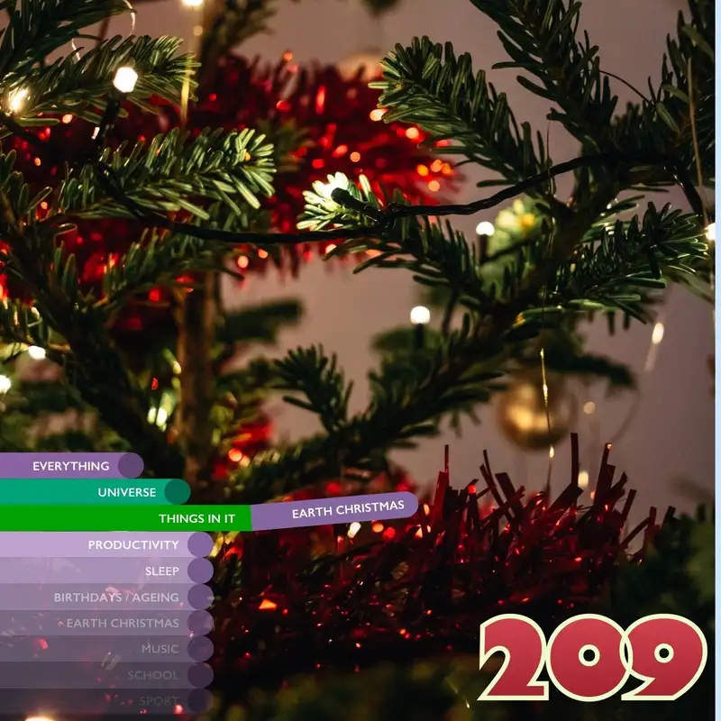 Christmas in the Shack