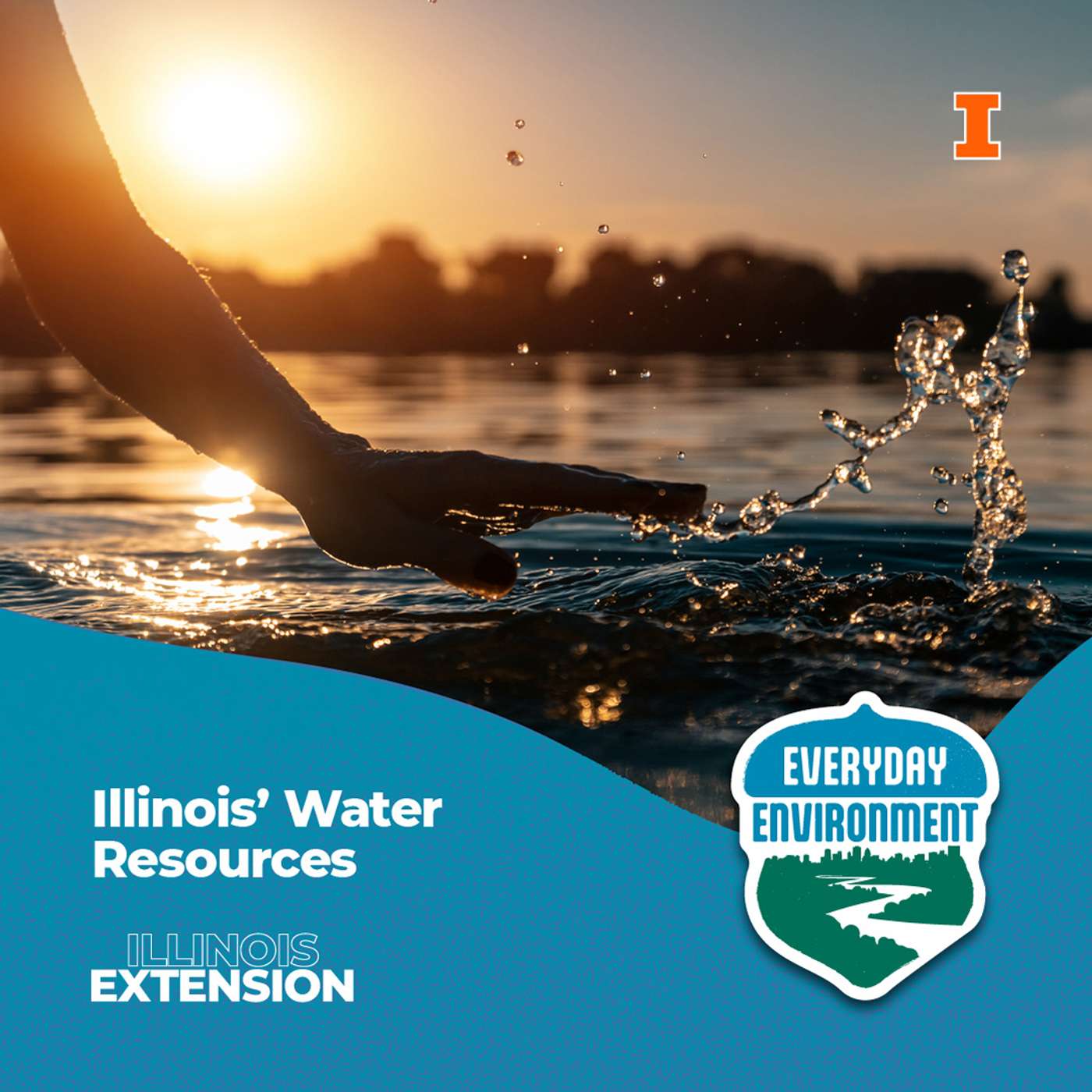 Everyday Environment Podcast