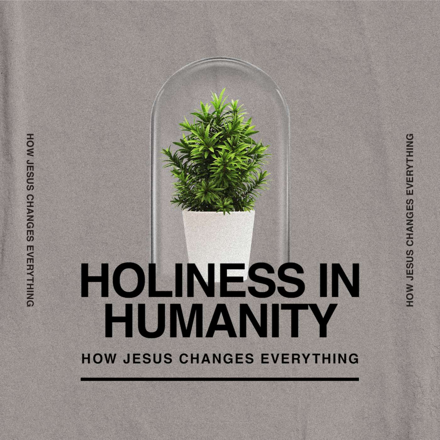 Jesus + Mary | Holiness in Humanity | Week 6 episode artwork