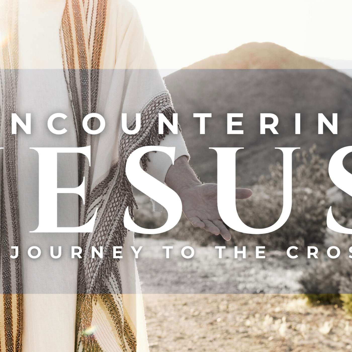 132 - One Thing (Luke 10:38-41) episode artwork