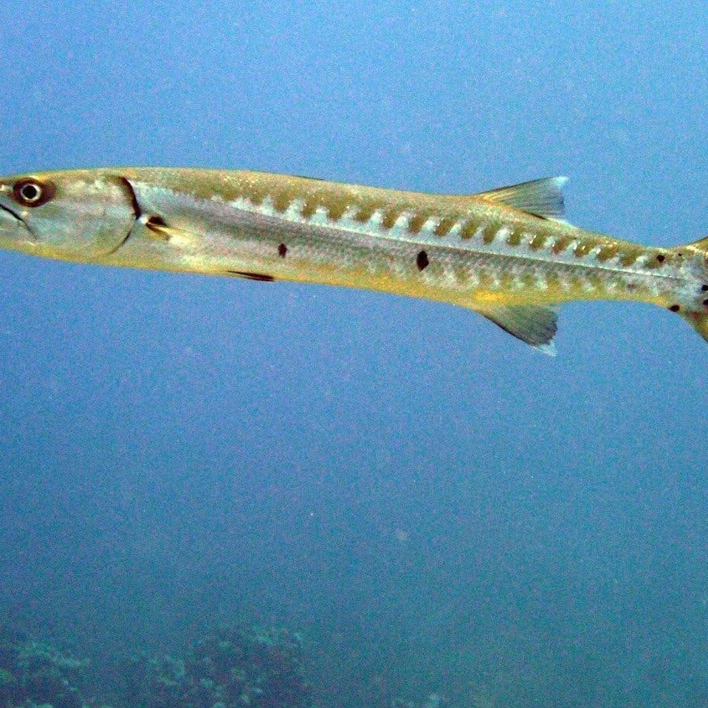 Nature and Science 4 Kids