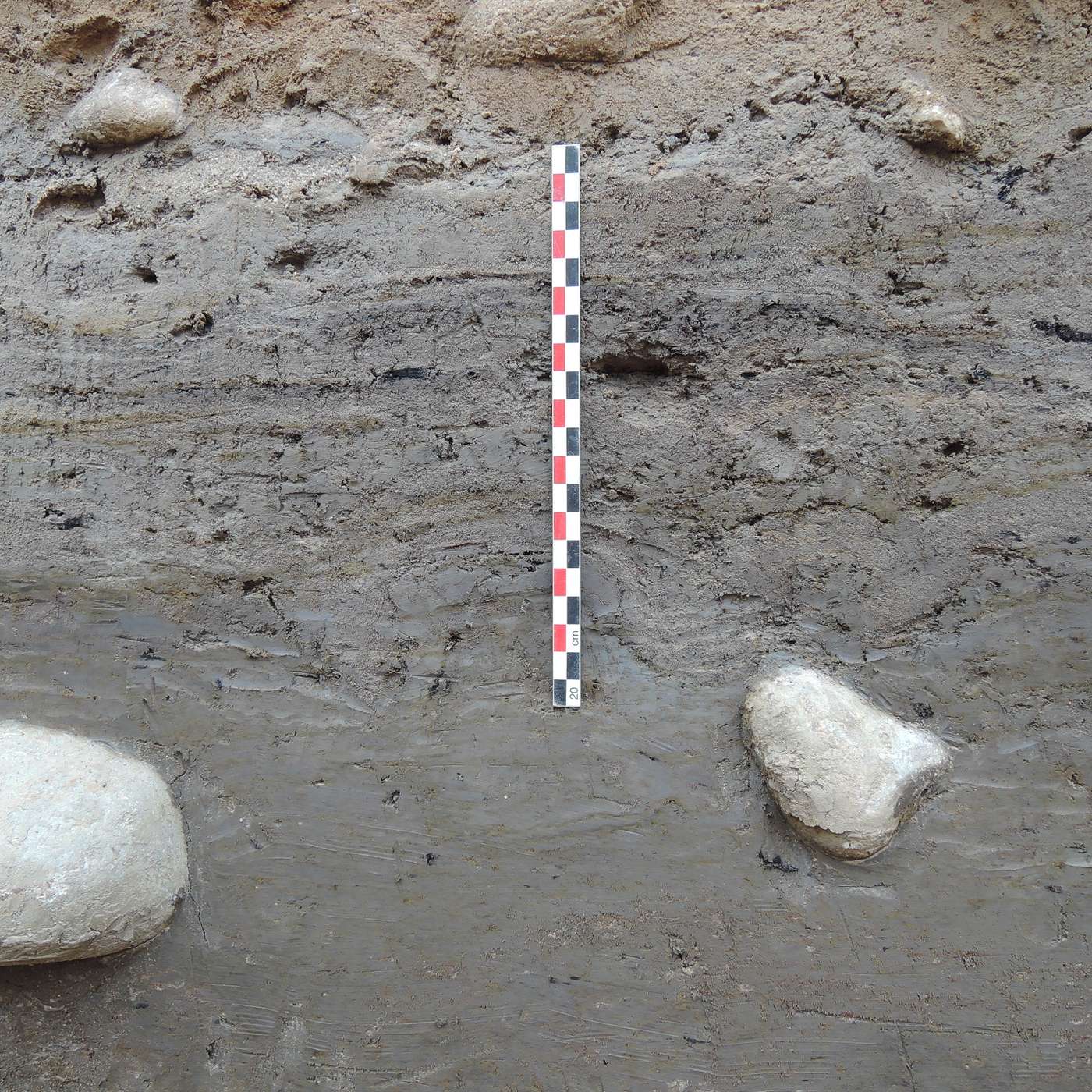 Micro et truelle, la chronique des archéologues de la Ville de Lyon