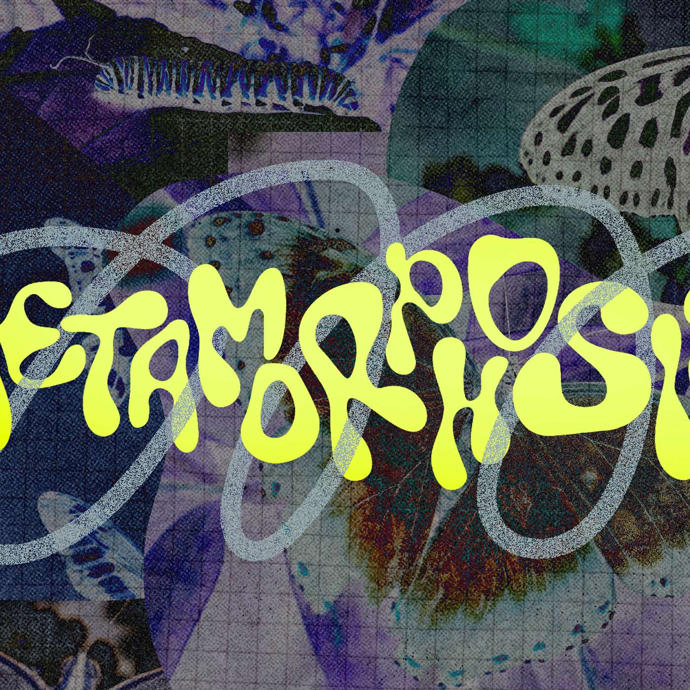 Apathy – Metamorphosis: Part 4 – Woodside Bible Church - Pastor Jim Dahlke