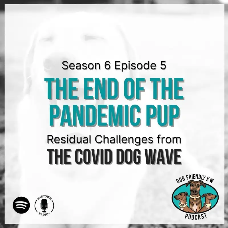 Justine & Kenz: How the pandemic ownership wave CREATED Dog Friendly KW